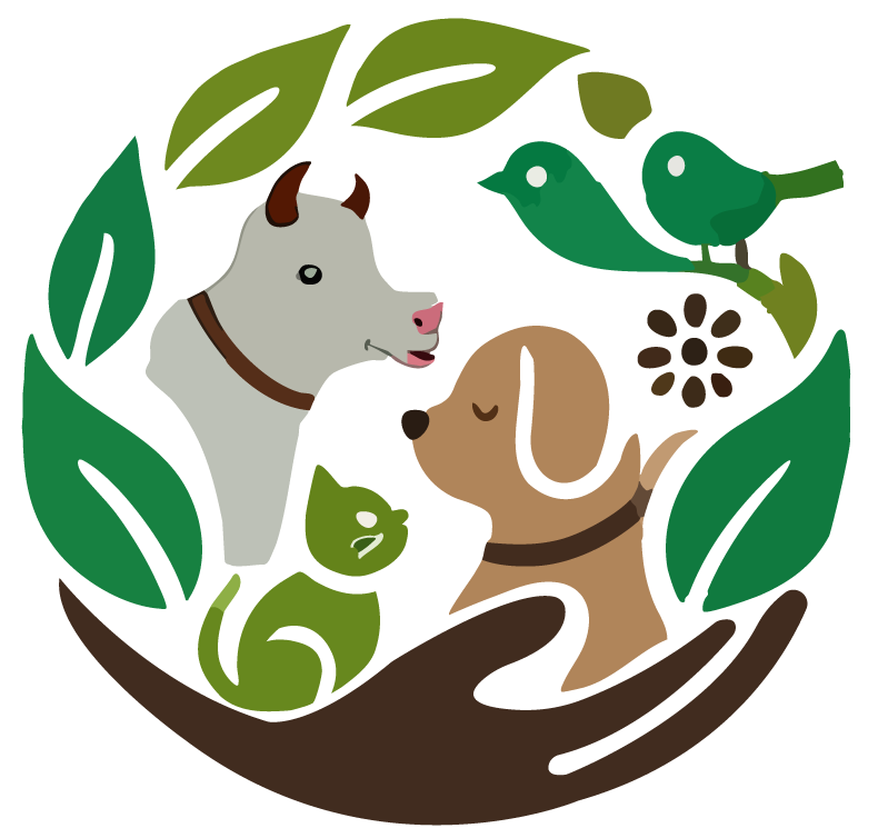 Home For Voiceless Foundation